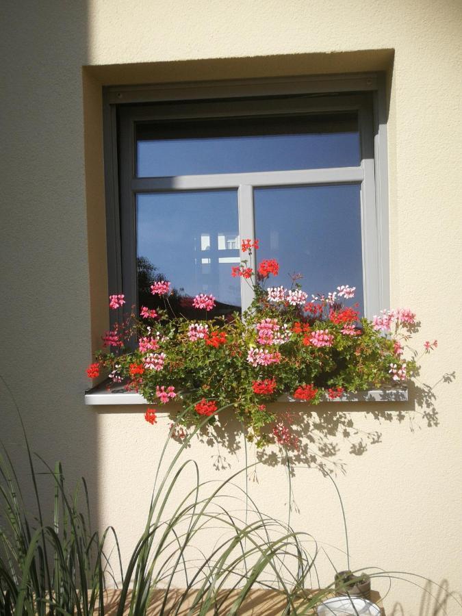 Appartementhaus Nienburg 外观 照片